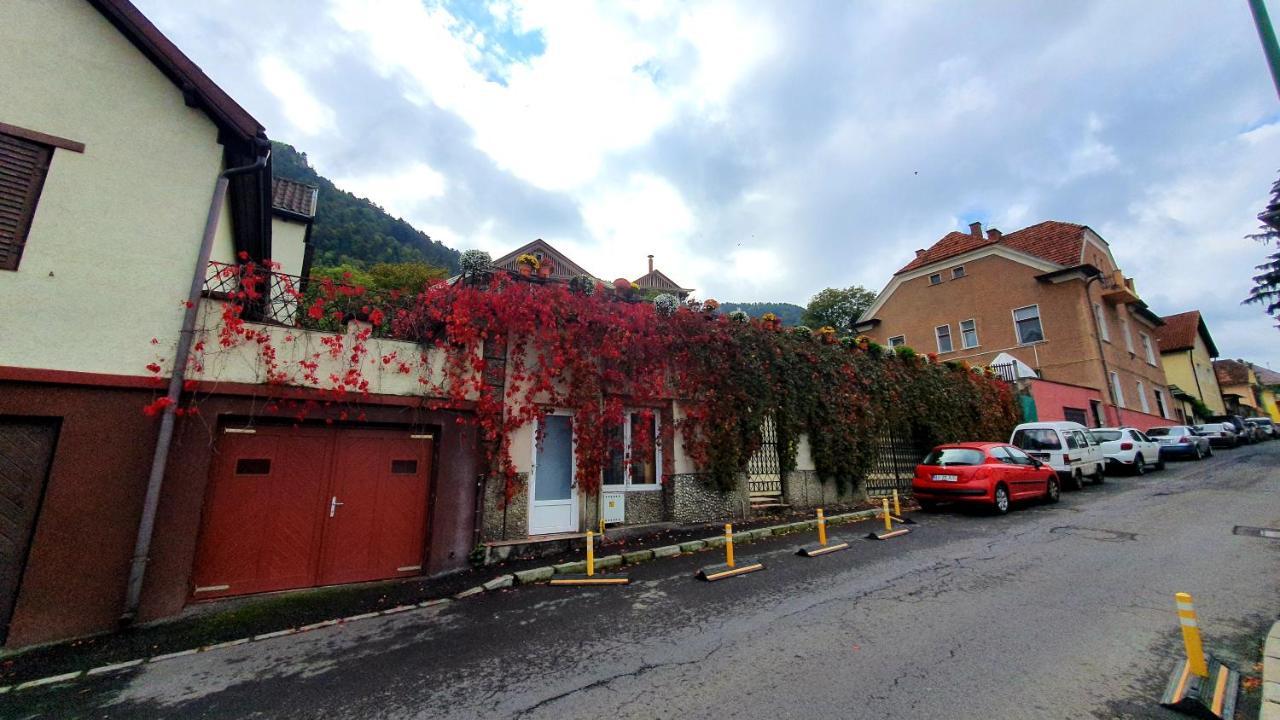 Nomad Apartment Brasov Bagian luar foto